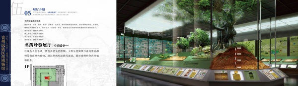 貴州民族醫(yī)藥博物館設(shè)計